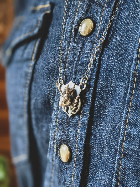 What do you know about Jackalopes?