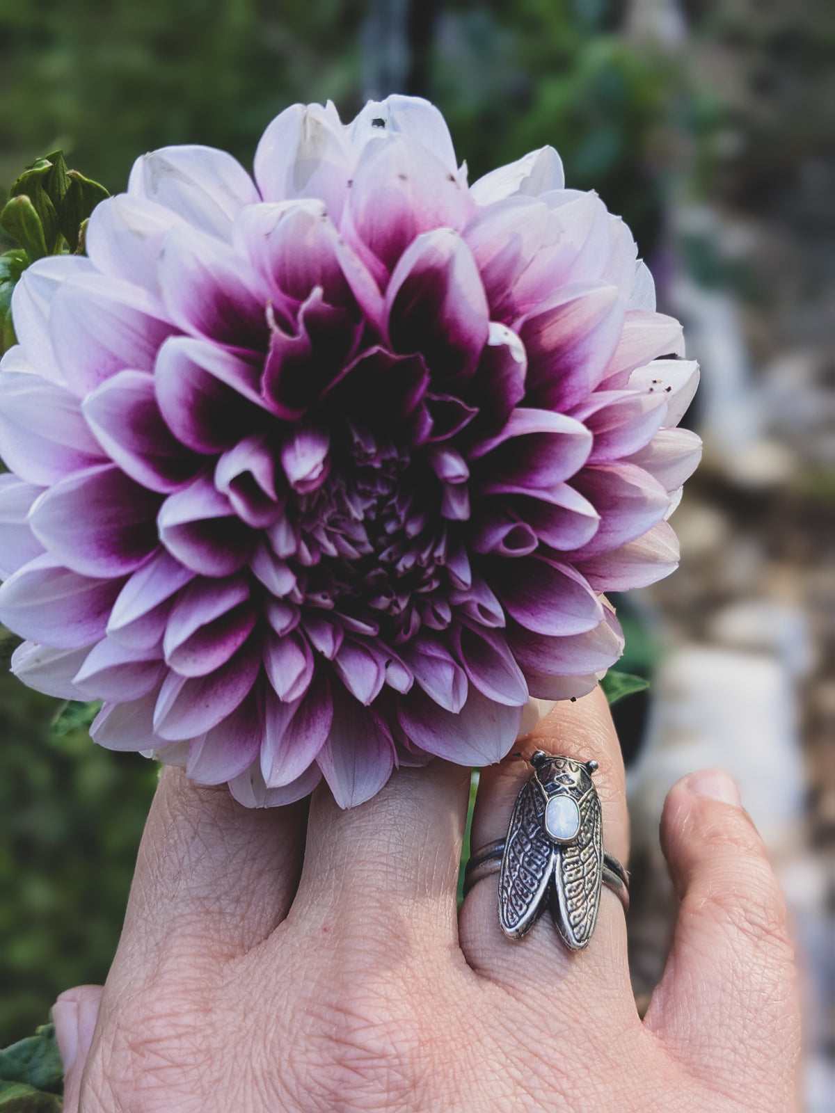 Hand wearing sterling silver cicada with an opal stone ring holds purple flower